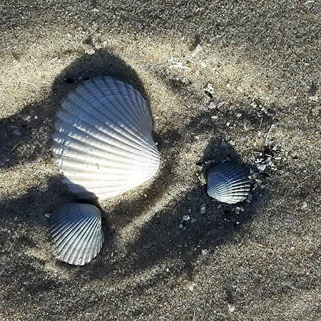 Plage Cote D'opale Holiday home